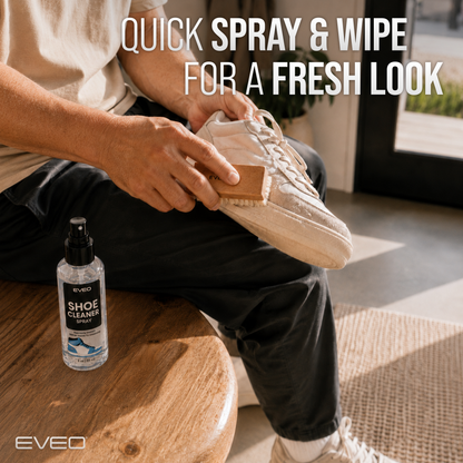 Shoe Cleaning Kit